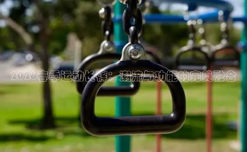 球速体育比分