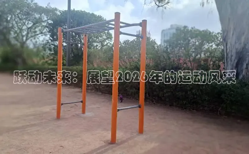 球速体育app