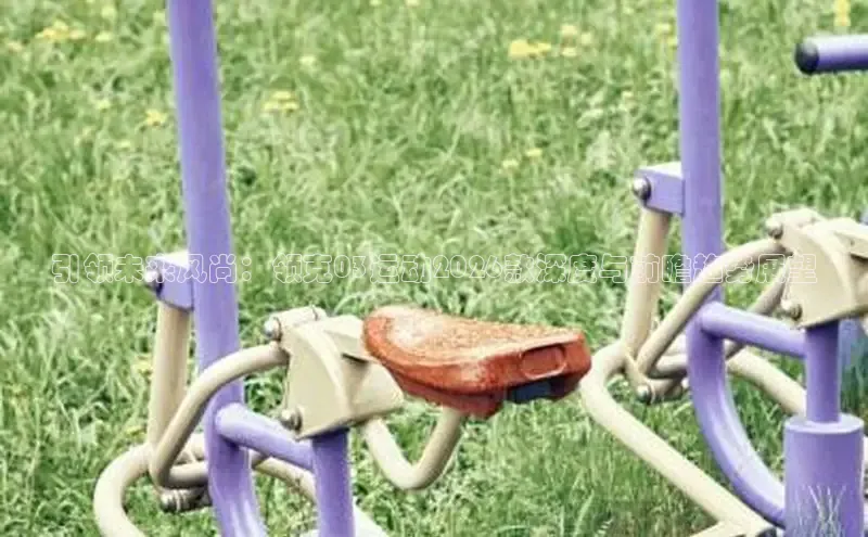 球速体育比分