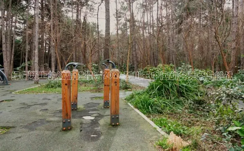 球速体育网站