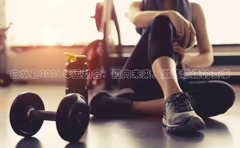 球速体育网页版登录入口